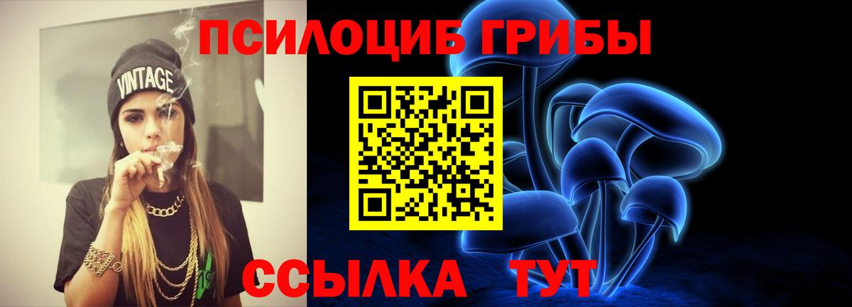 Галлюциногенные грибы Psilocybe  Вход с VPN  Псилоцибиновые грибы Psilocybe  Заинск 